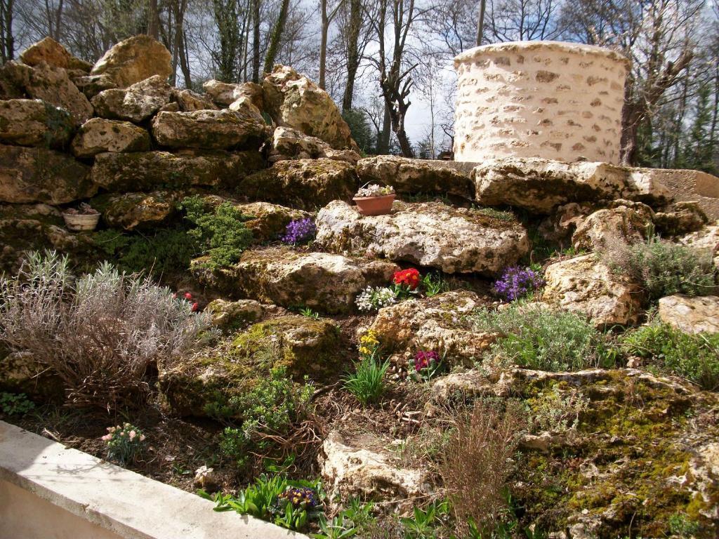 Chambre D'Hote Moulin Du Ru Aulnoy Kültér fotó